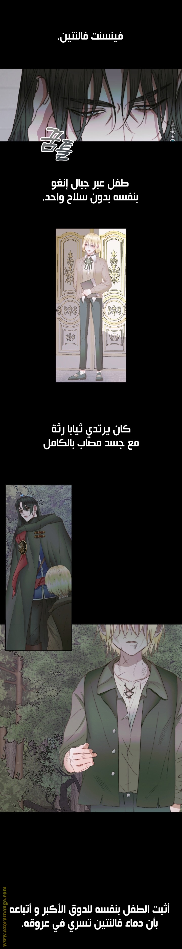 الصفحة 11