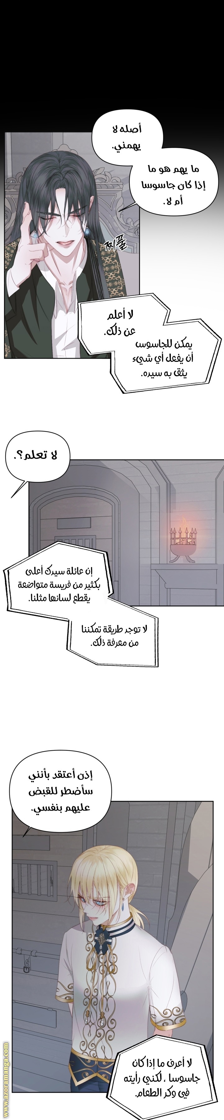 الصفحة 13