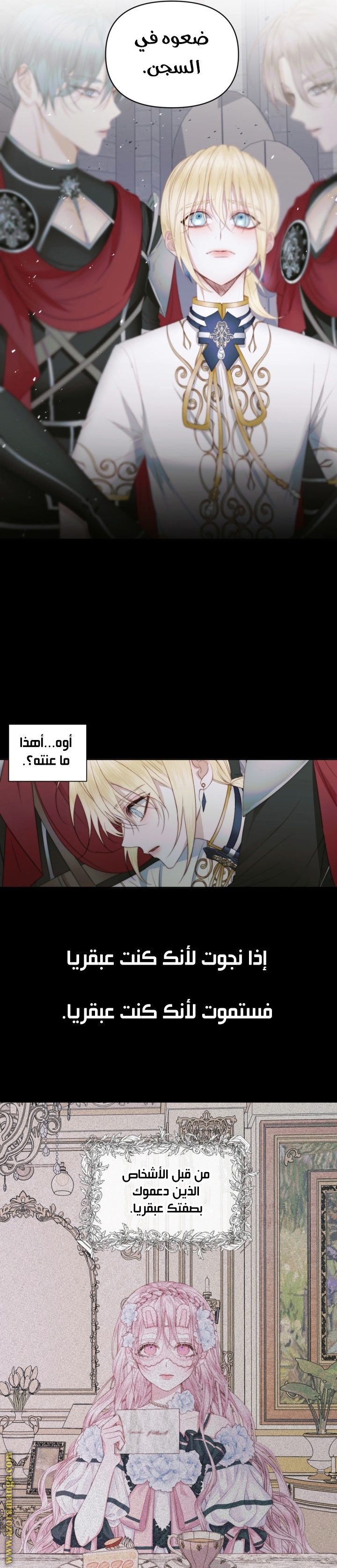 الصفحة 17