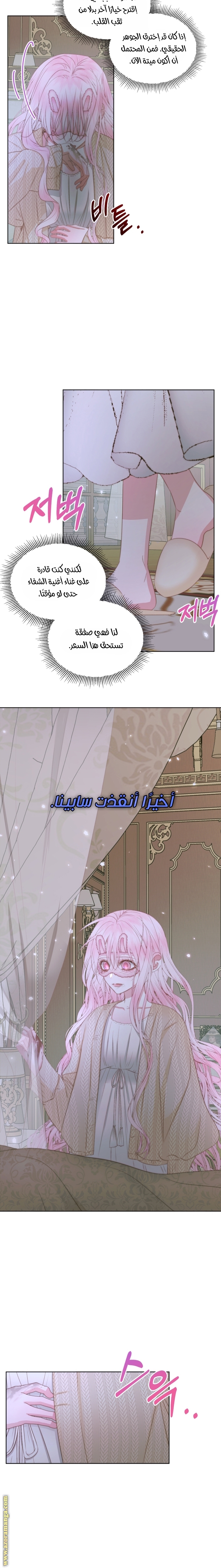 الصفحة 3