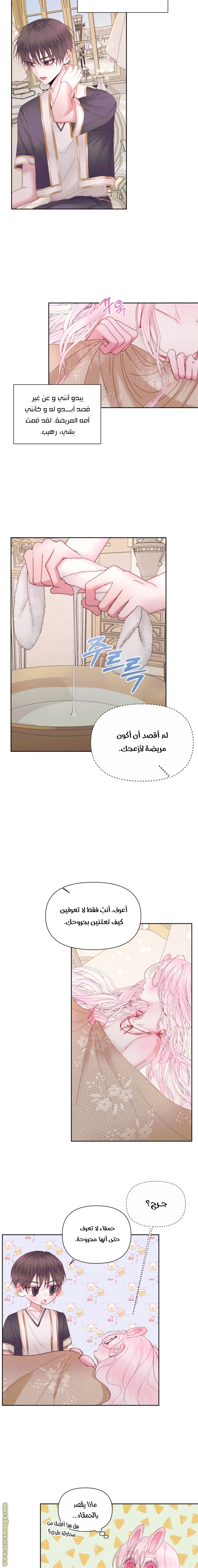 الصفحة 2
