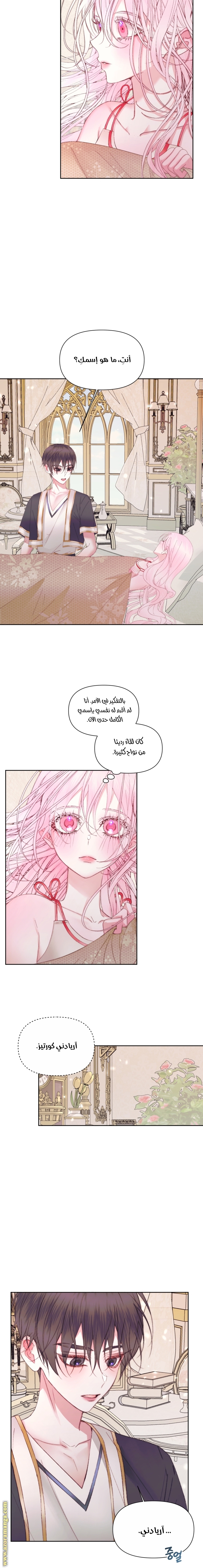 الصفحة 8