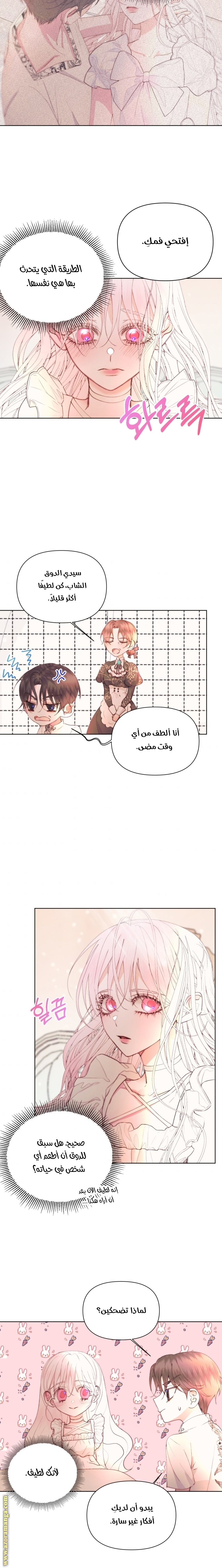 الصفحة 12