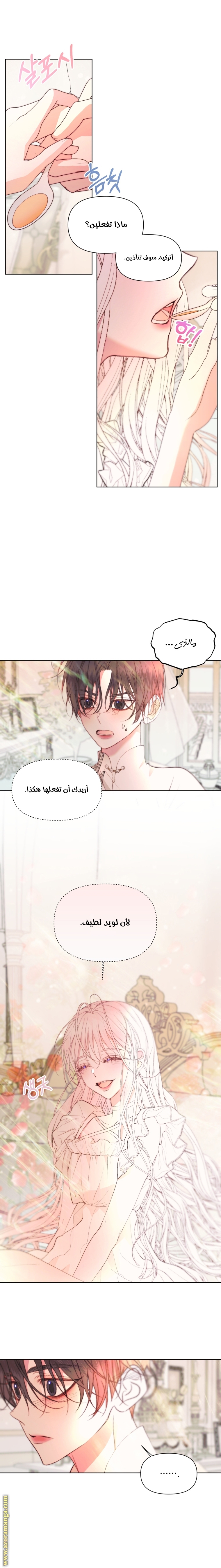 الصفحة 13