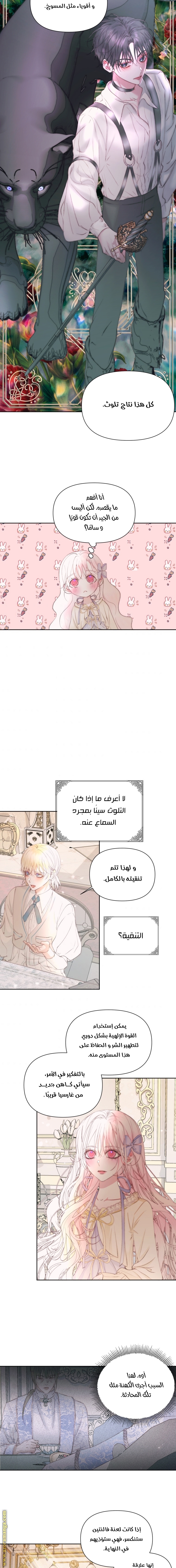 الصفحة 13