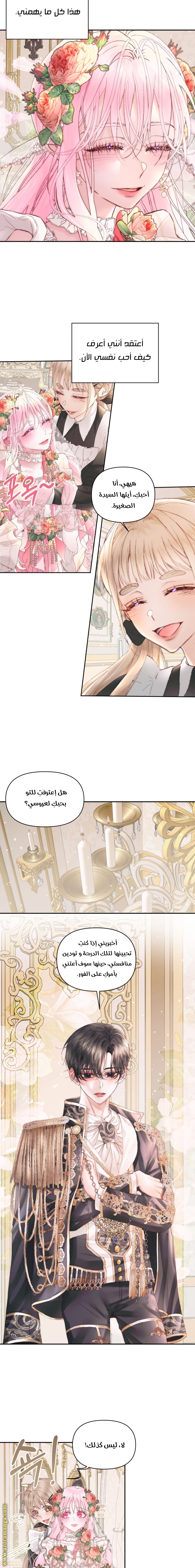 الصفحة 11