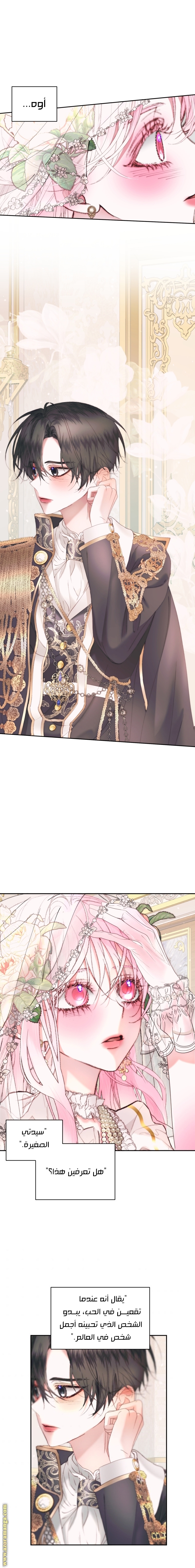 الصفحة 14