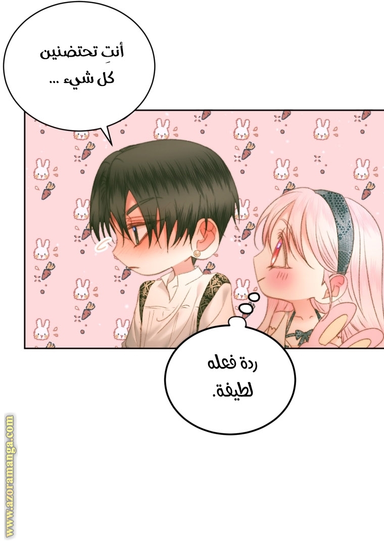 الصفحة 29