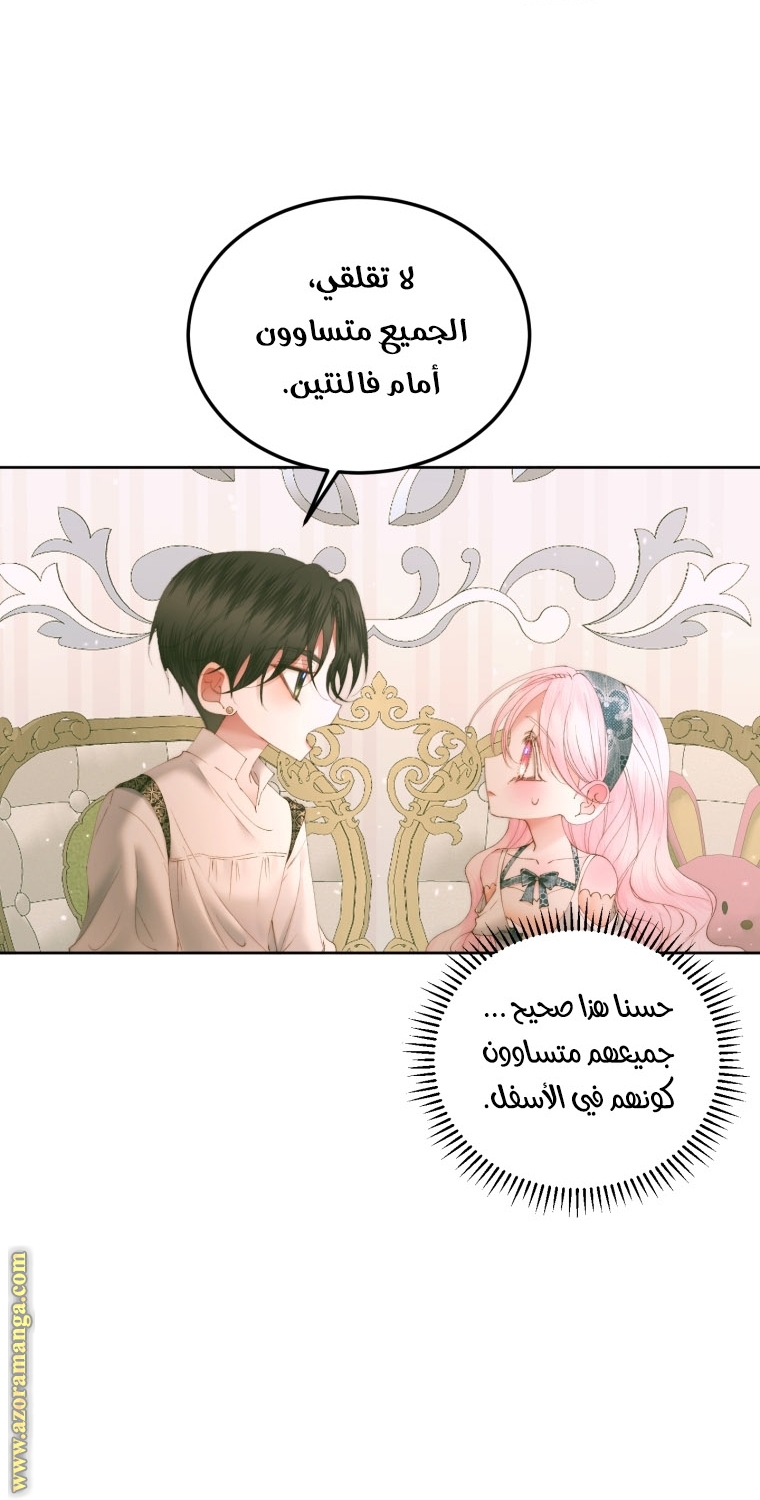 الصفحة 41