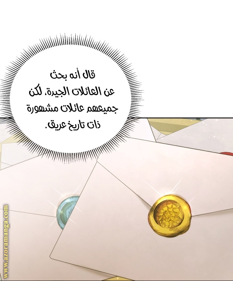الصفحة 42