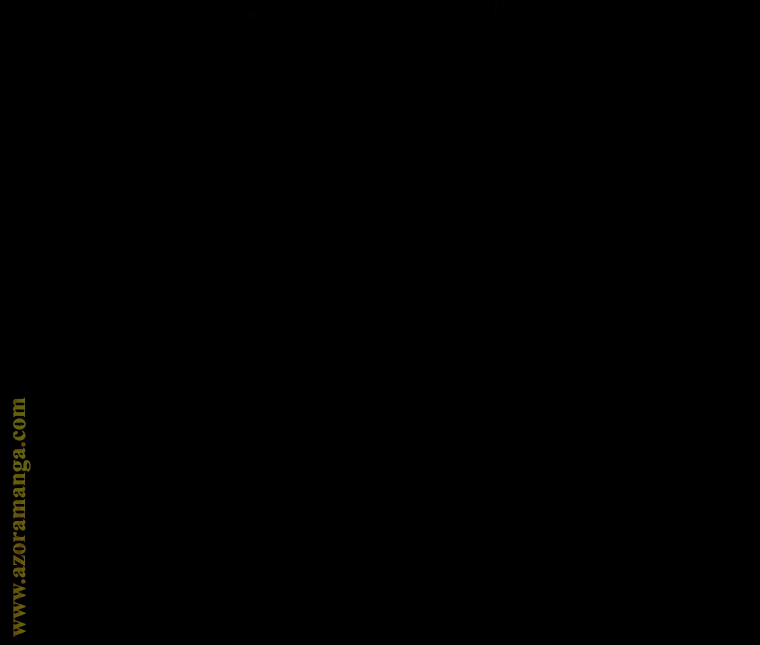 الصفحة 46