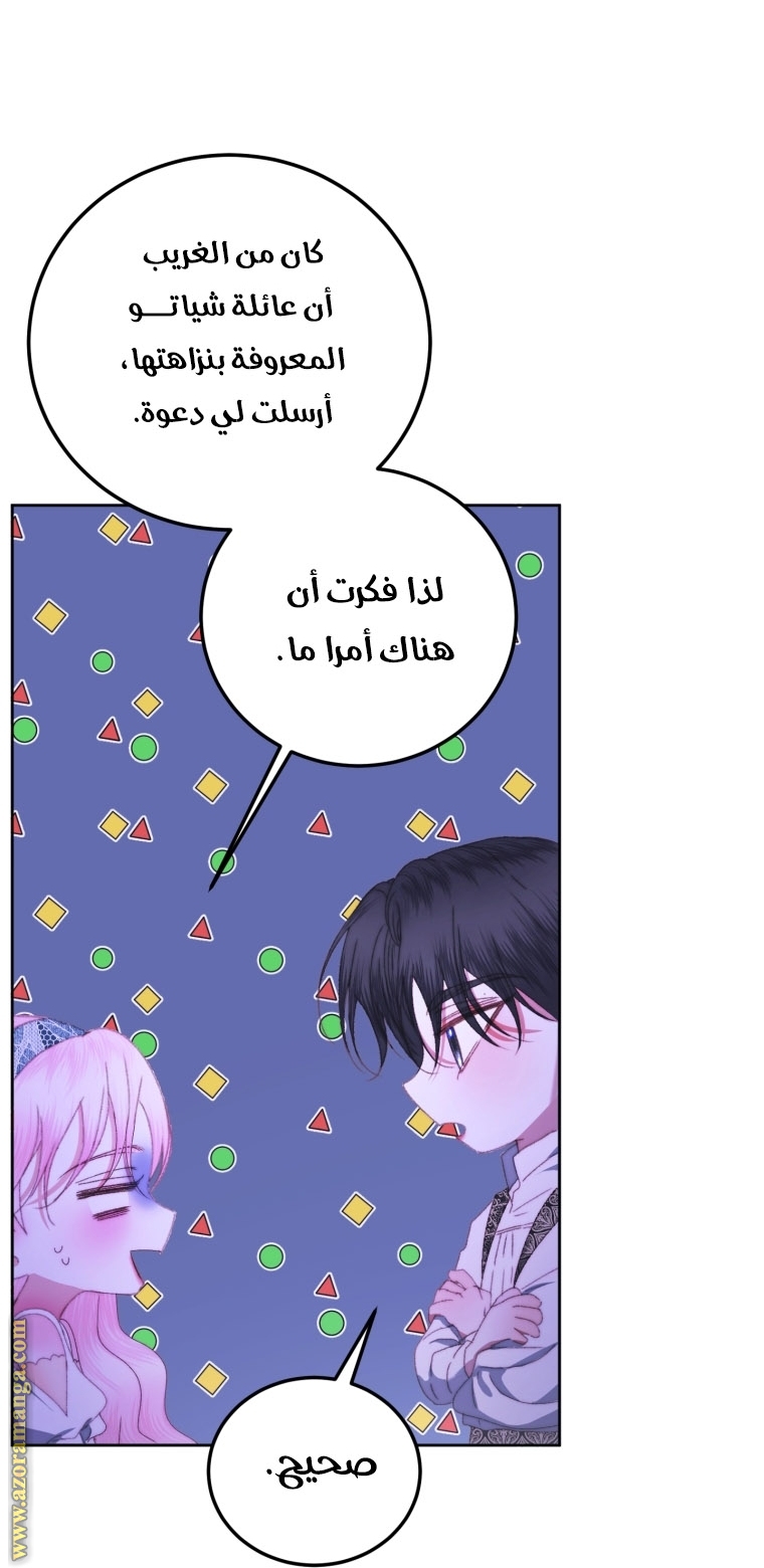 الصفحة 27