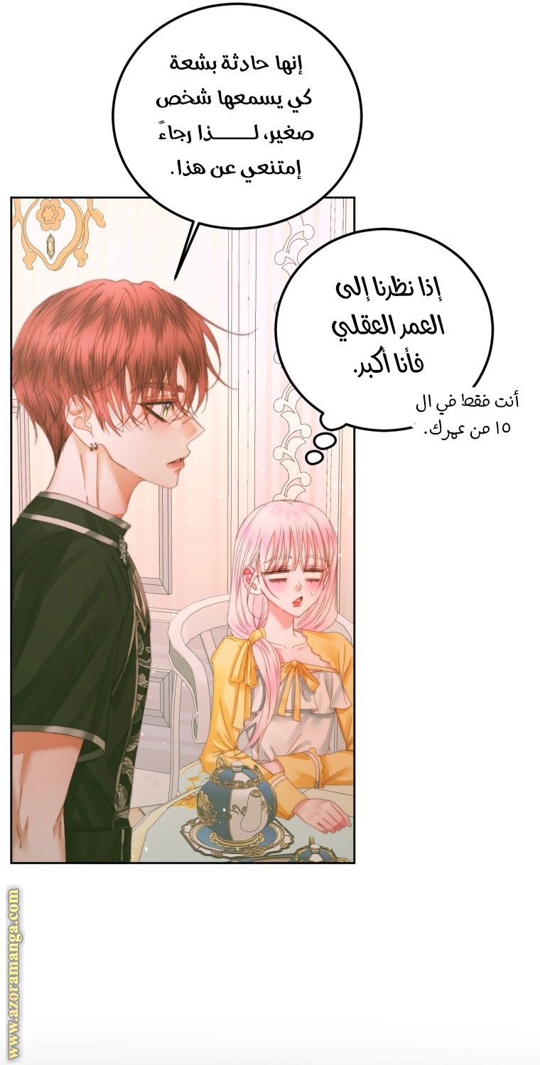 الصفحة 39