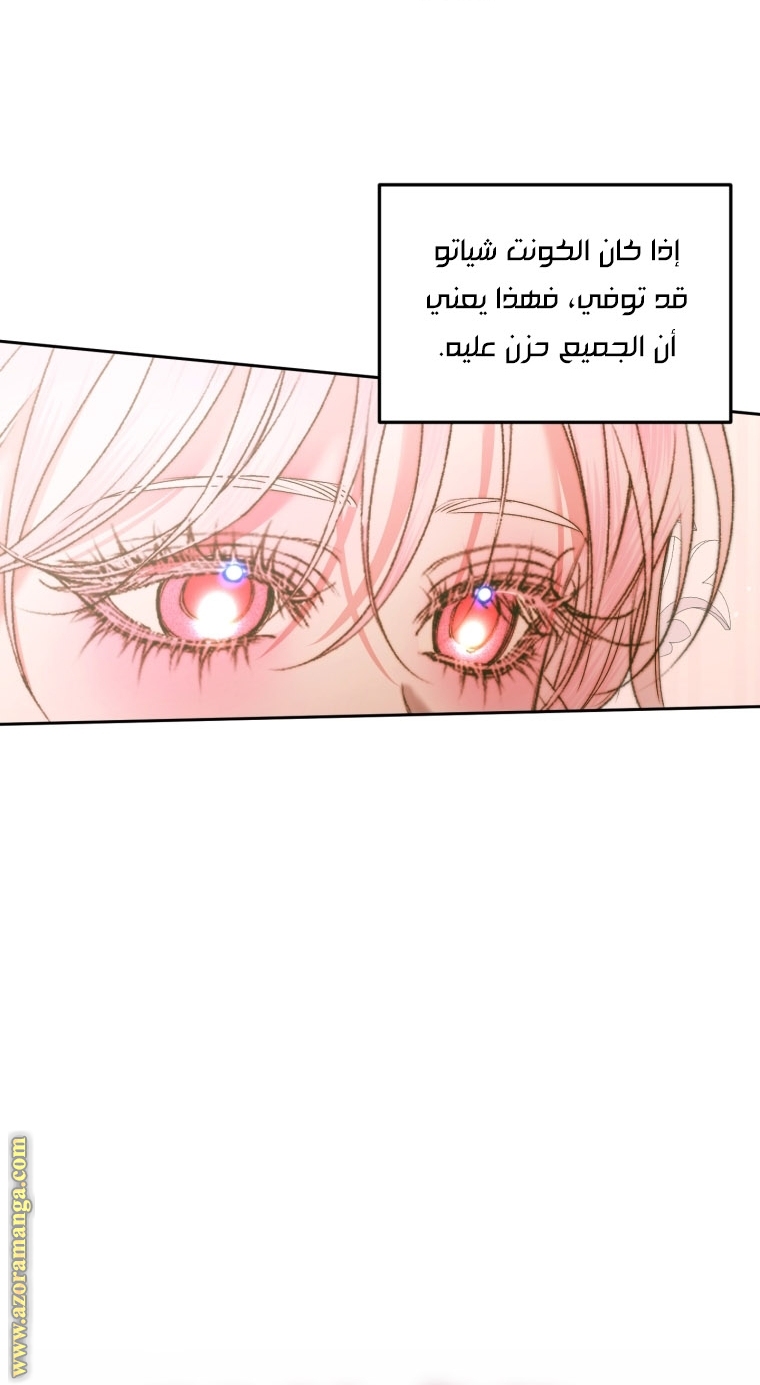 الصفحة 42