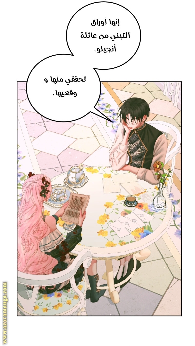 الصفحة 46