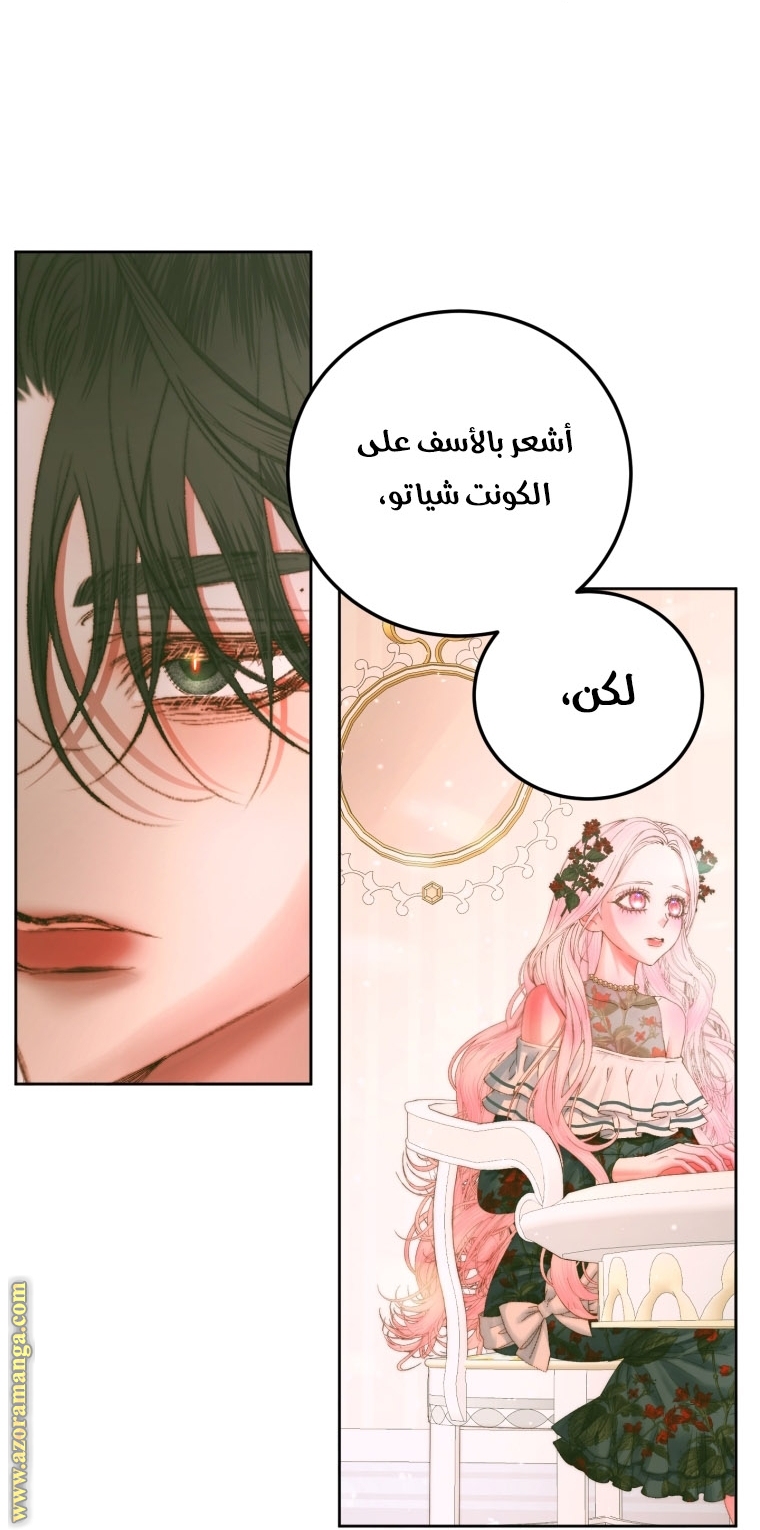 الصفحة 52