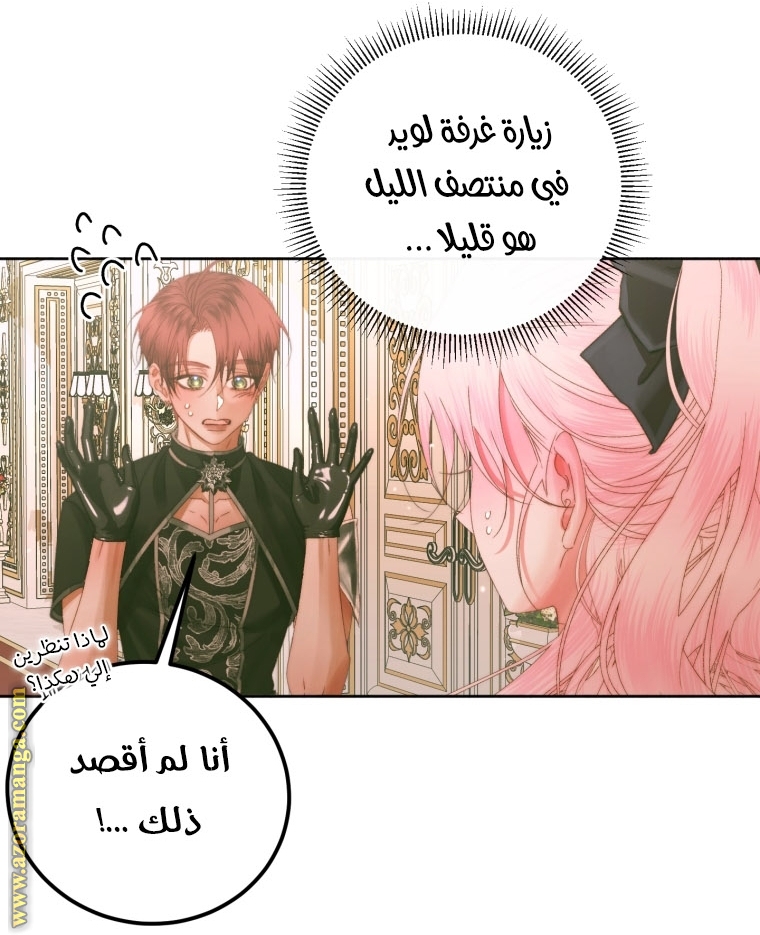 الصفحة 62
