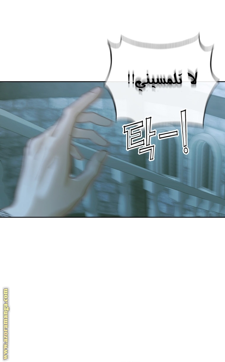 الصفحة 39