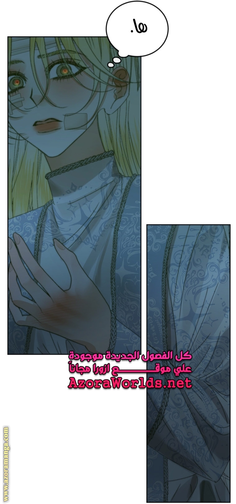 الصفحة 40