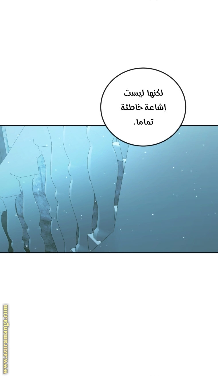 الصفحة 43