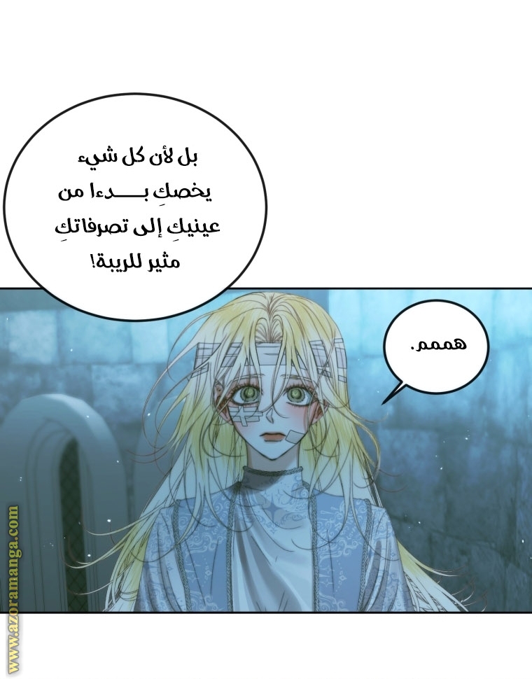 الصفحة 47