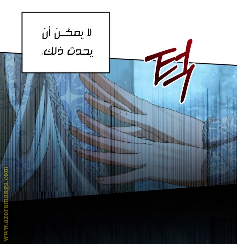 الصفحة 51