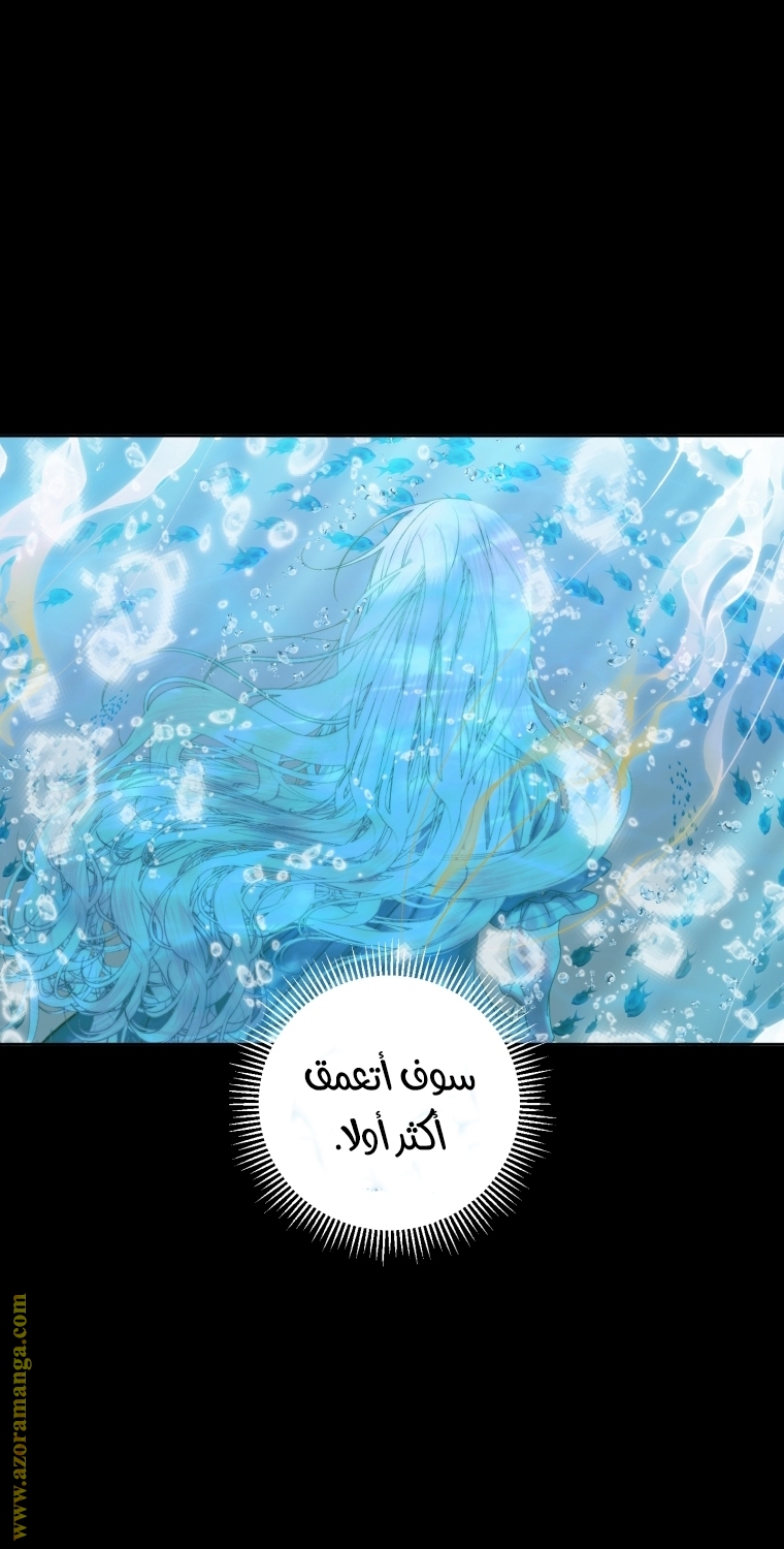 الصفحة 21