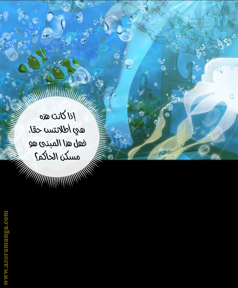 الصفحة 25