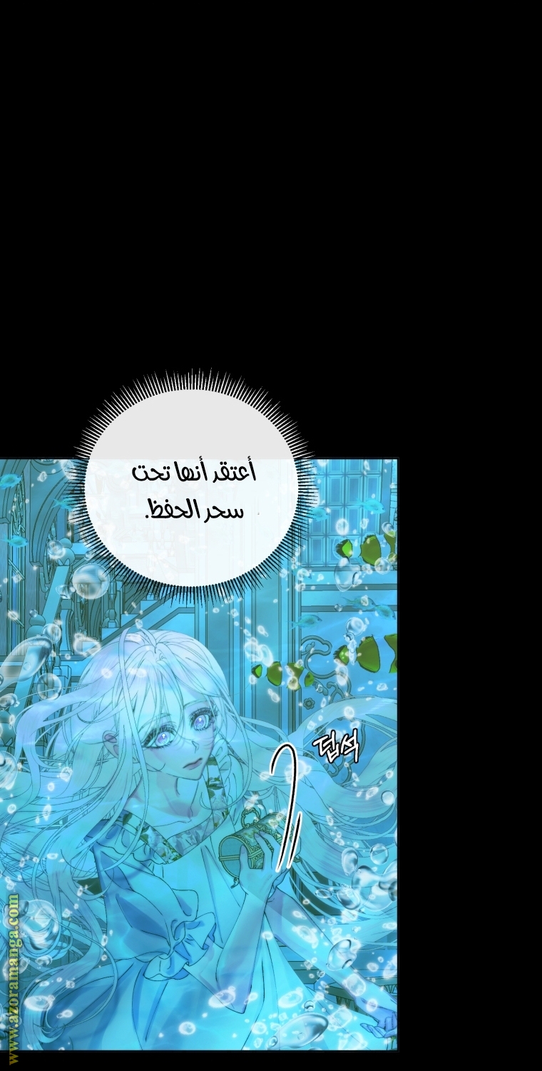 الصفحة 29