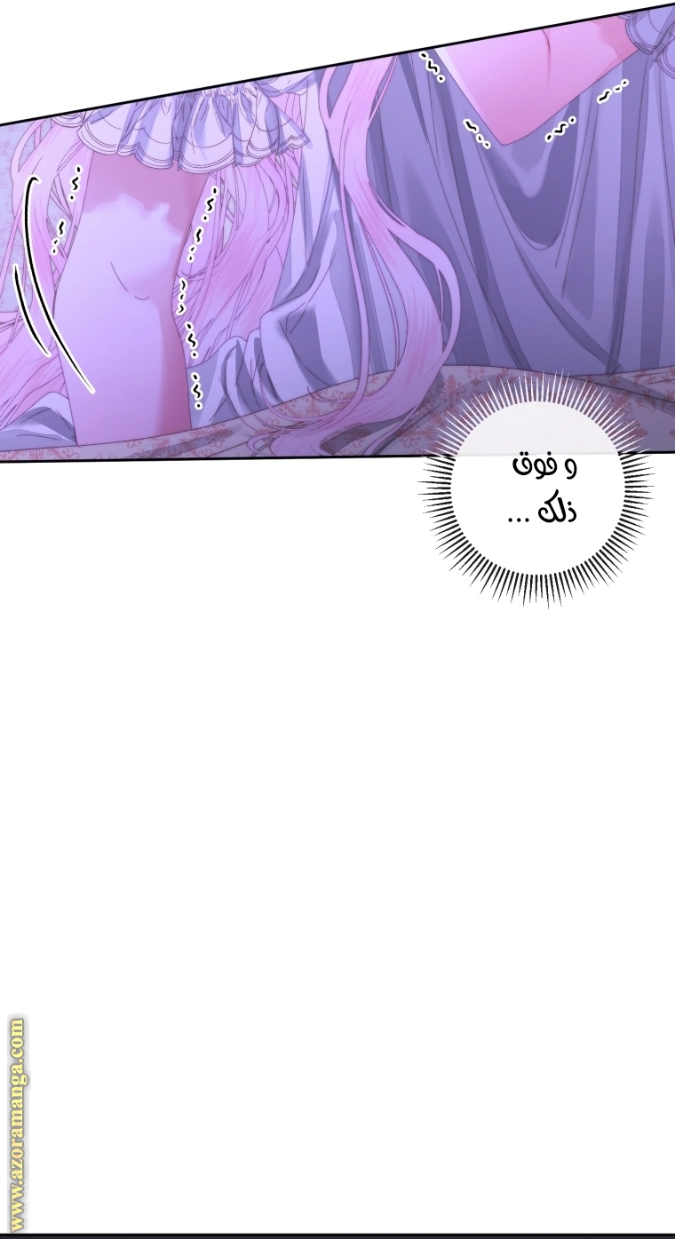 الصفحة 39