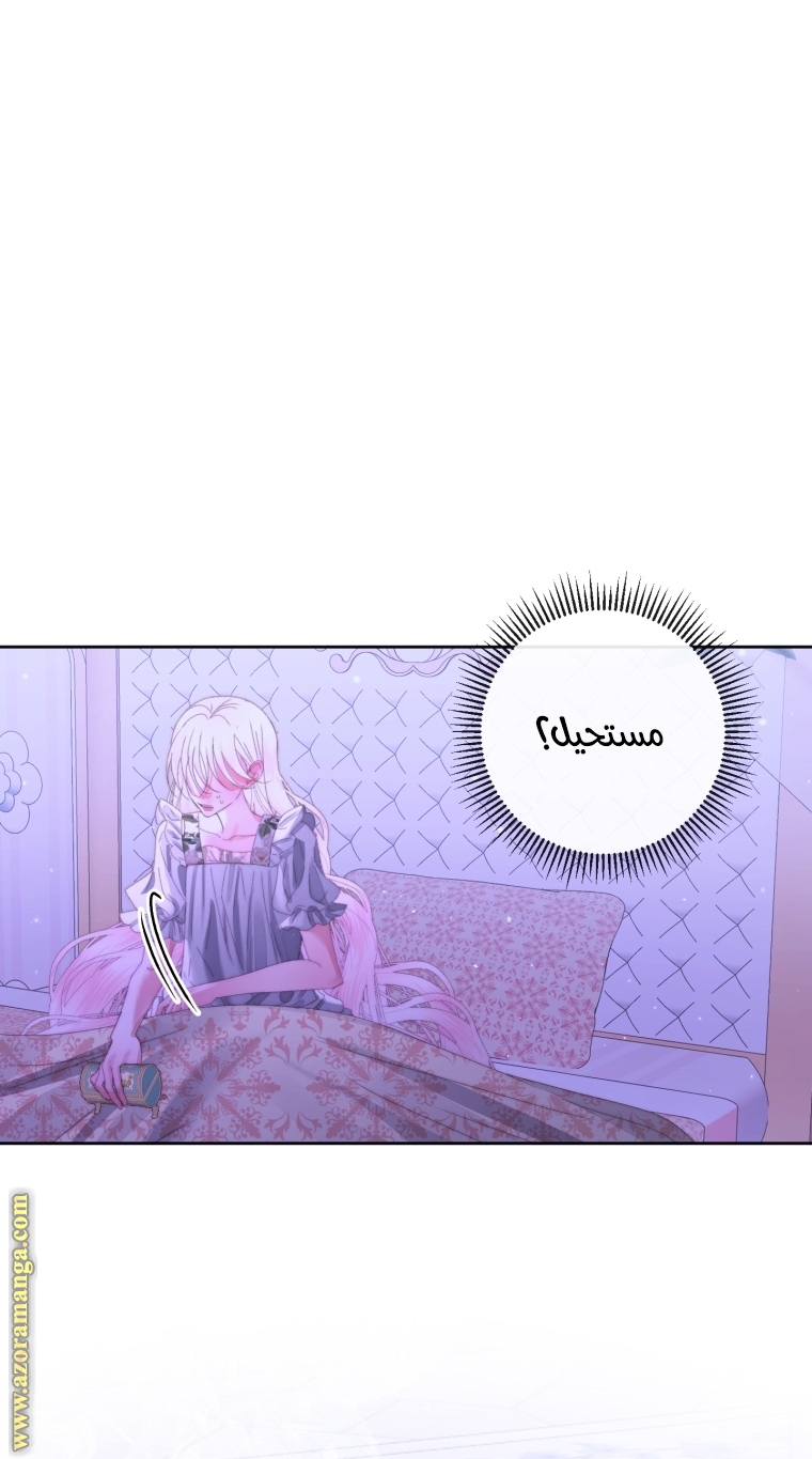 الصفحة 41