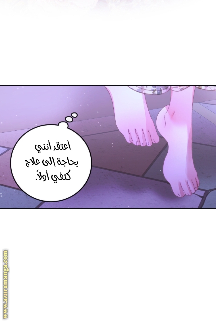 الصفحة 43