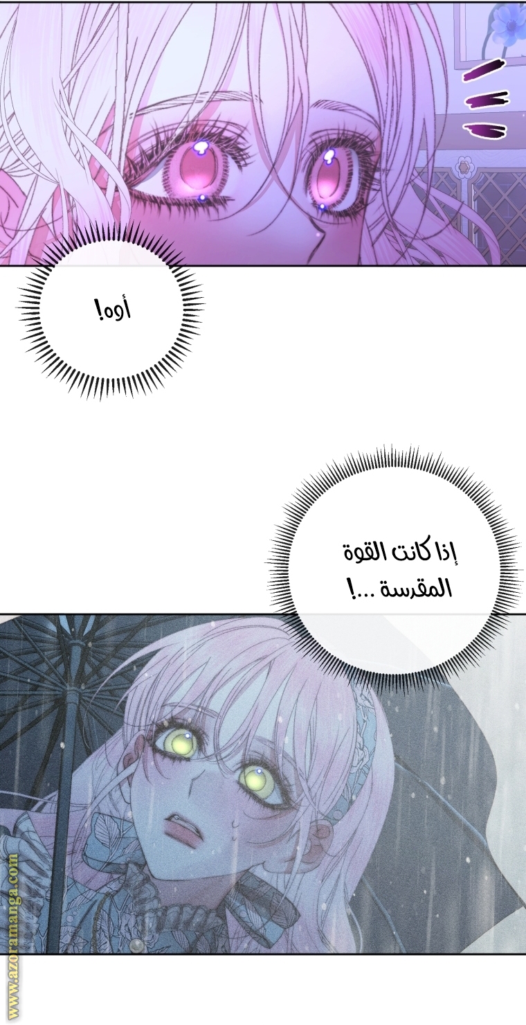 الصفحة 46
