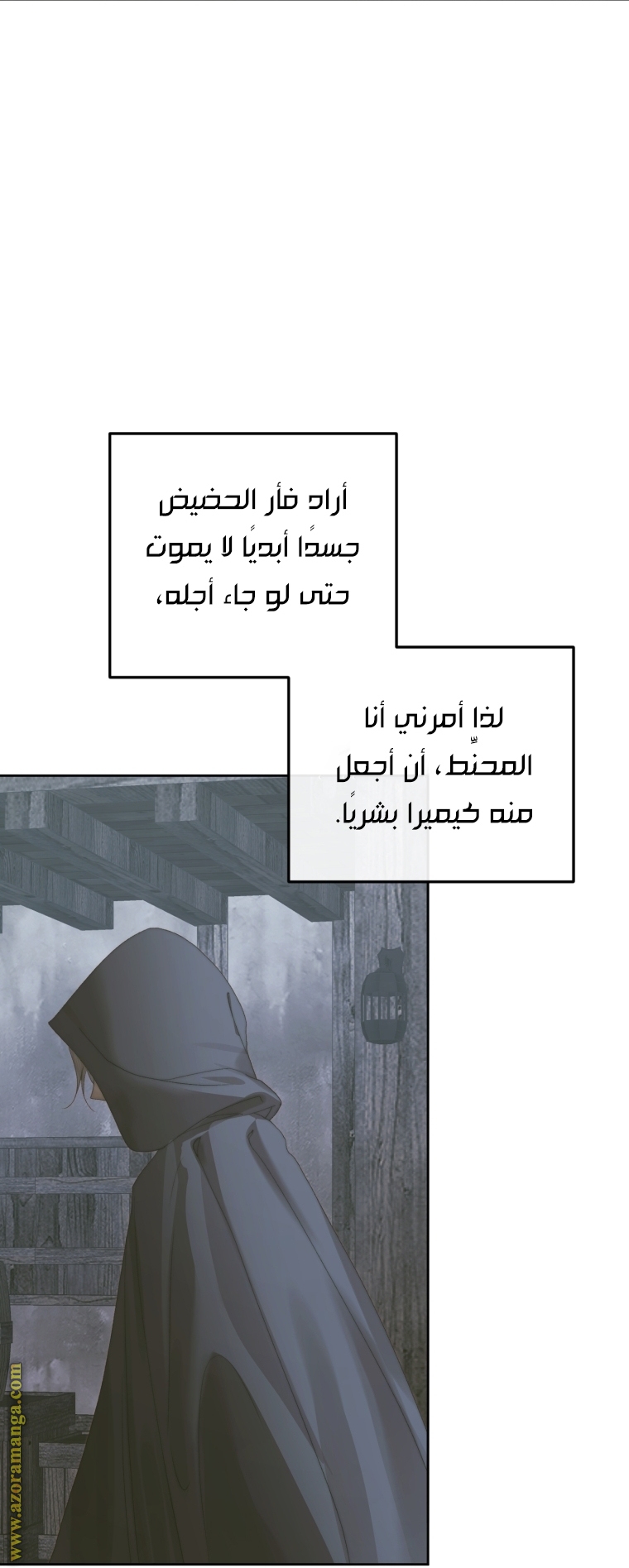 الصفحة 19
