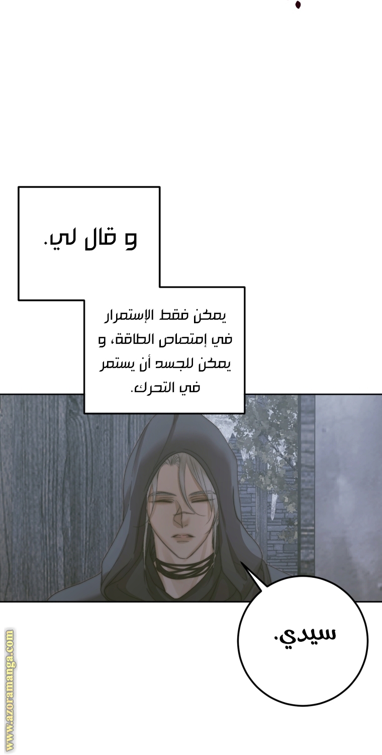 الصفحة 21