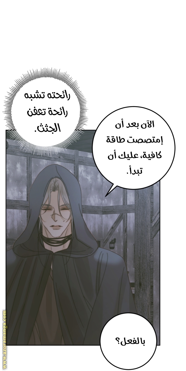 الصفحة 24