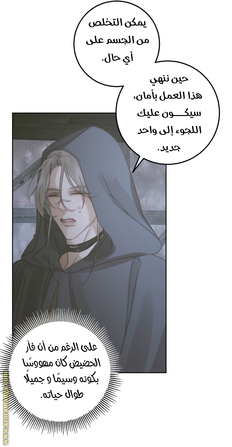 الصفحة 27