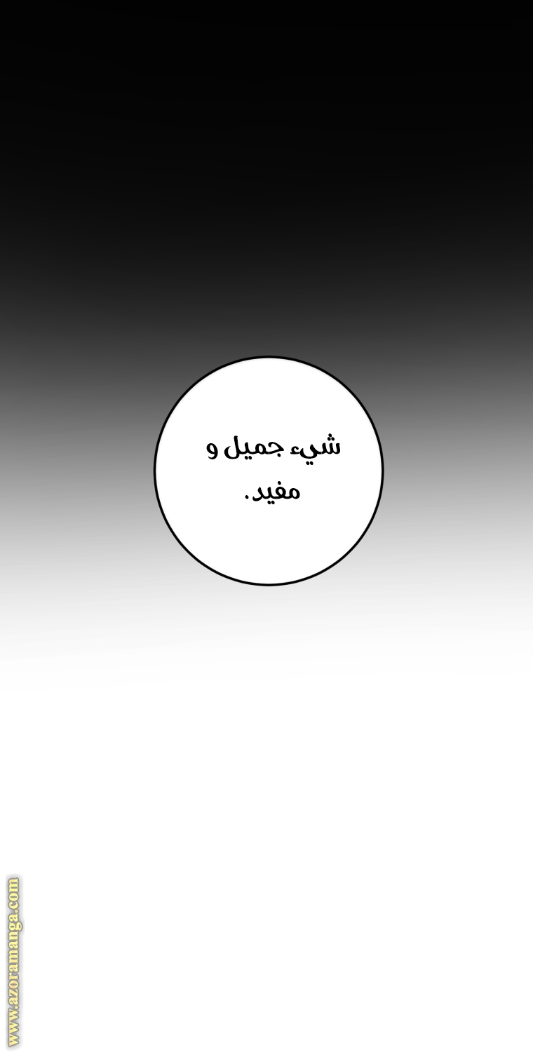 الصفحة 30