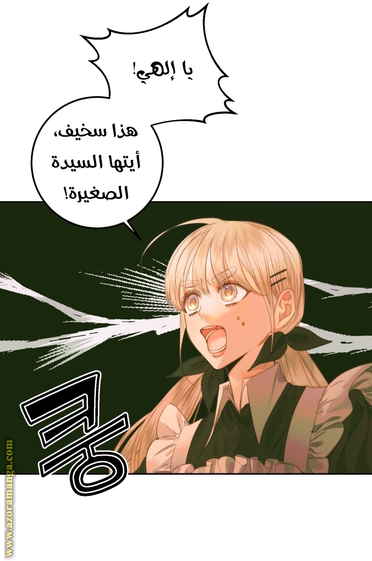 الصفحة 33