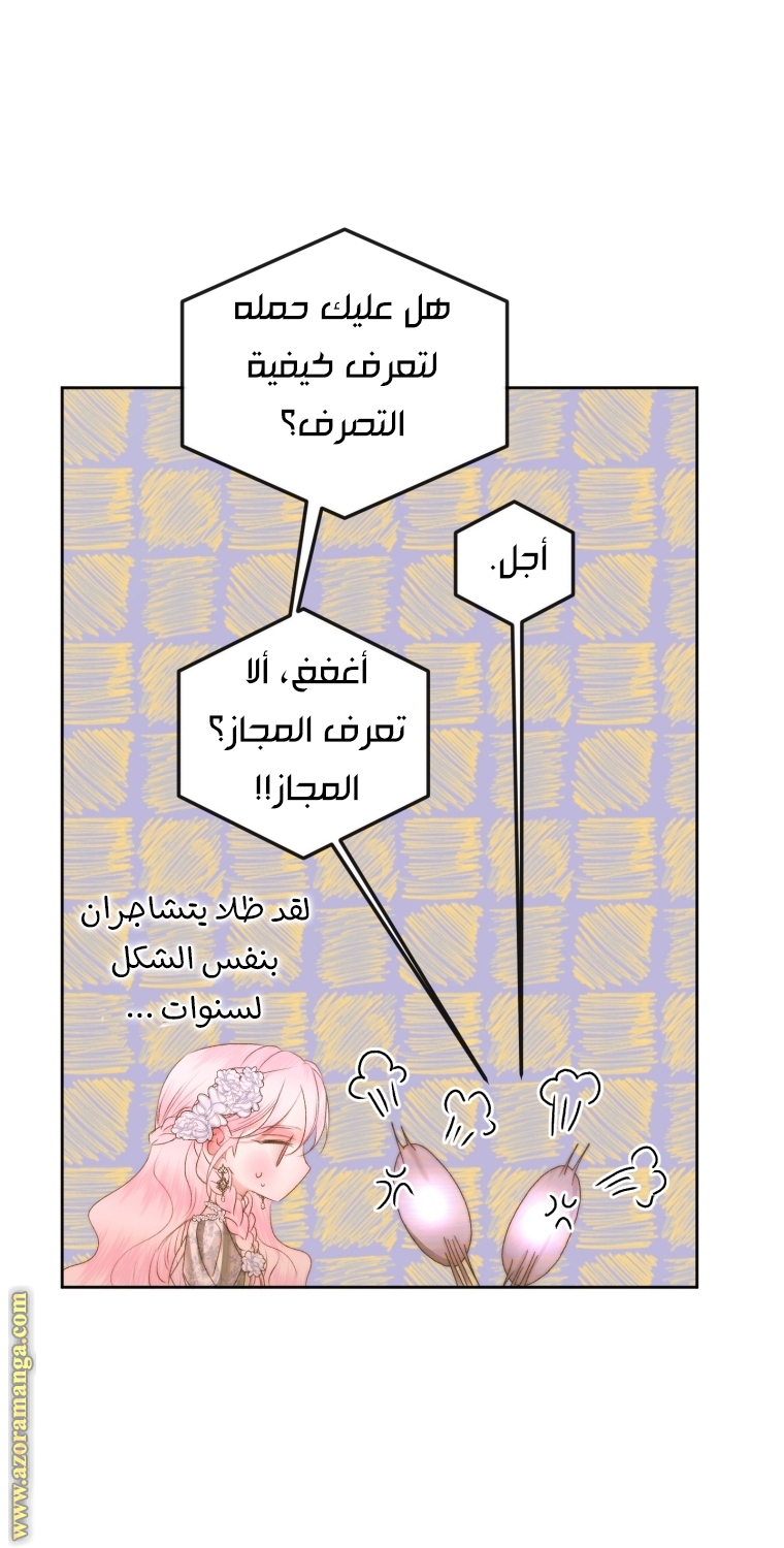 الصفحة 29
