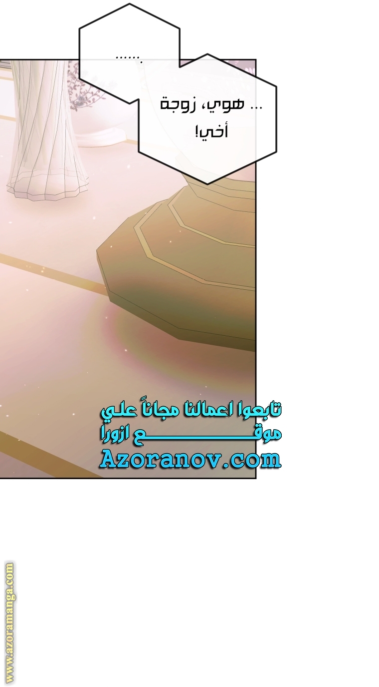 الصفحة 39