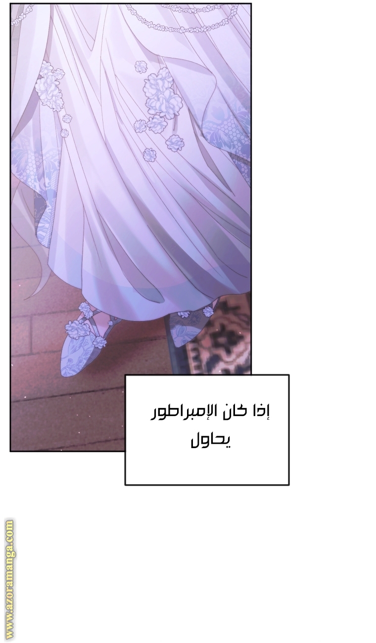 الصفحة 52