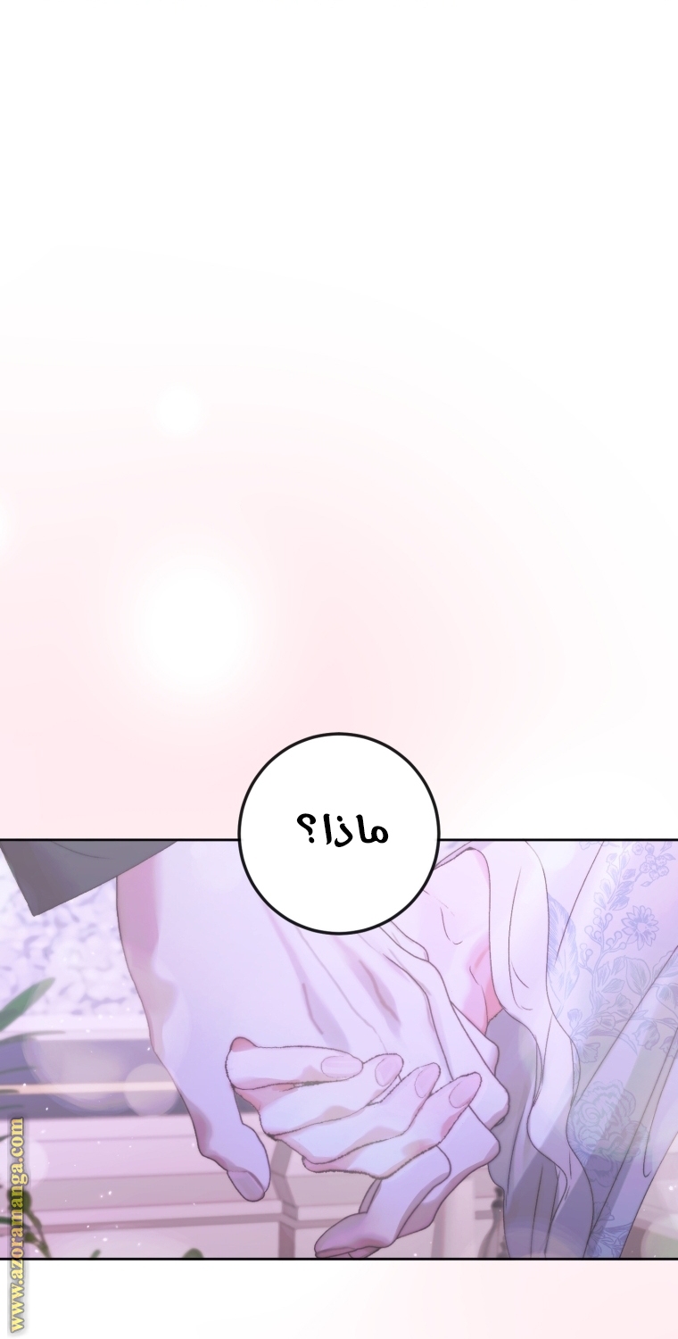الصفحة 55