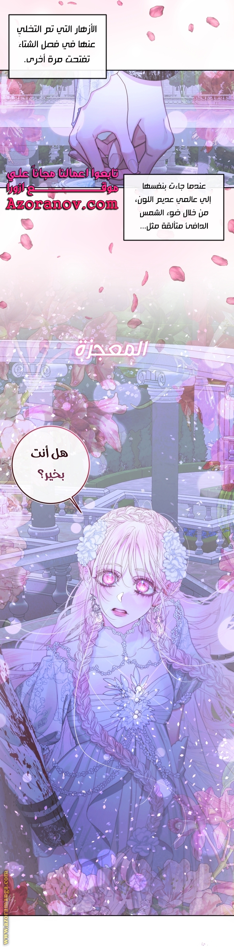 الصفحة 27