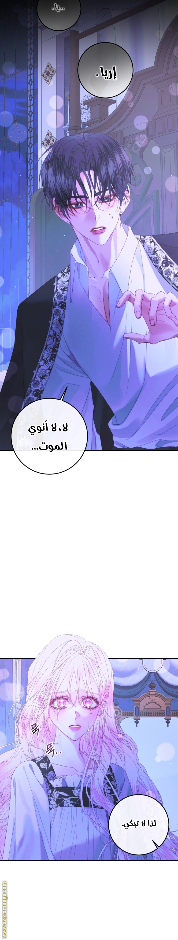 الصفحة 13