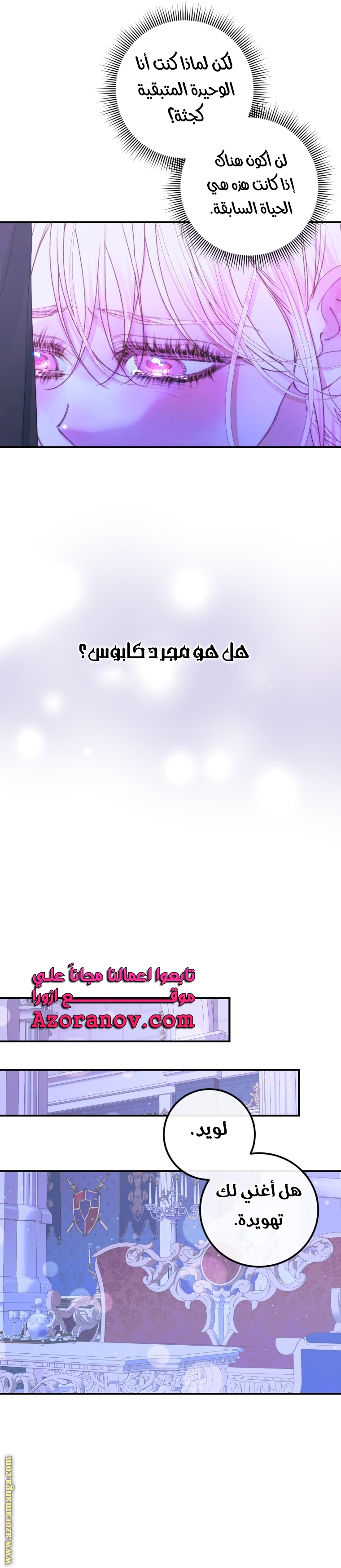 الصفحة 17