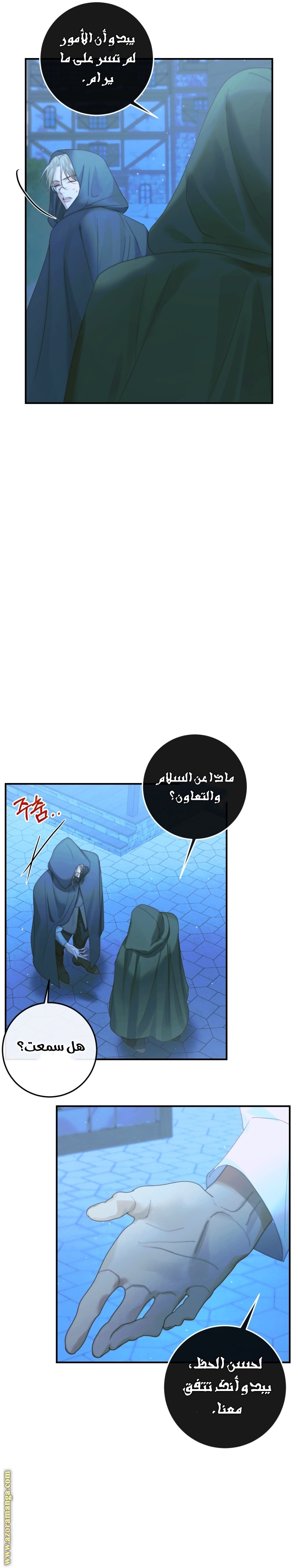 الصفحة 27