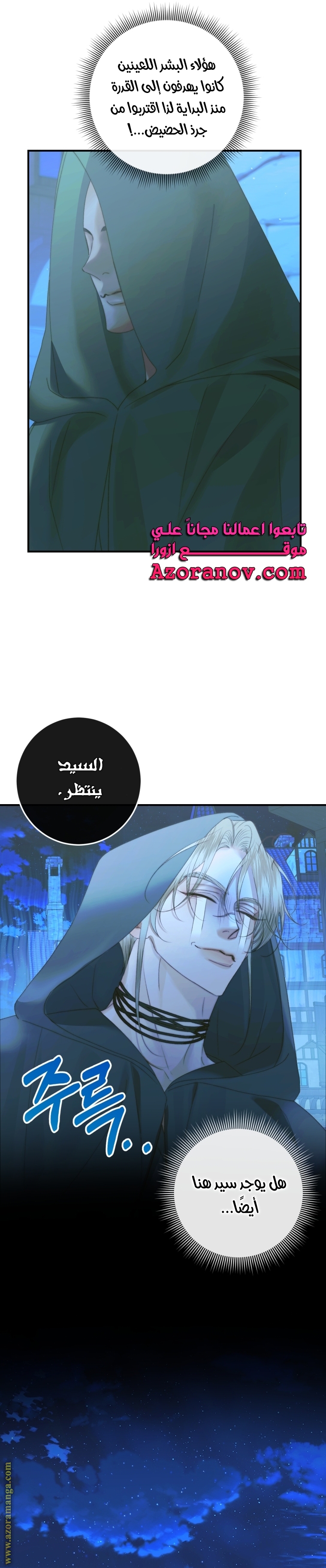 الصفحة 29