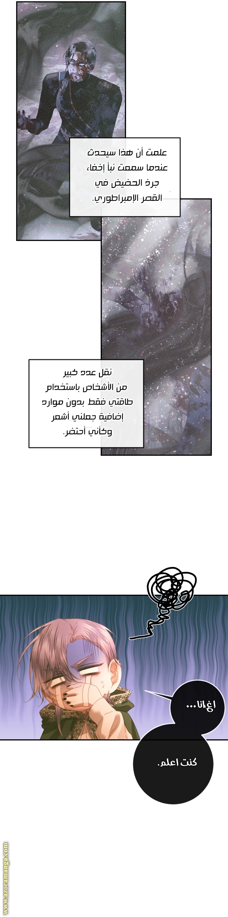 الصفحة 27