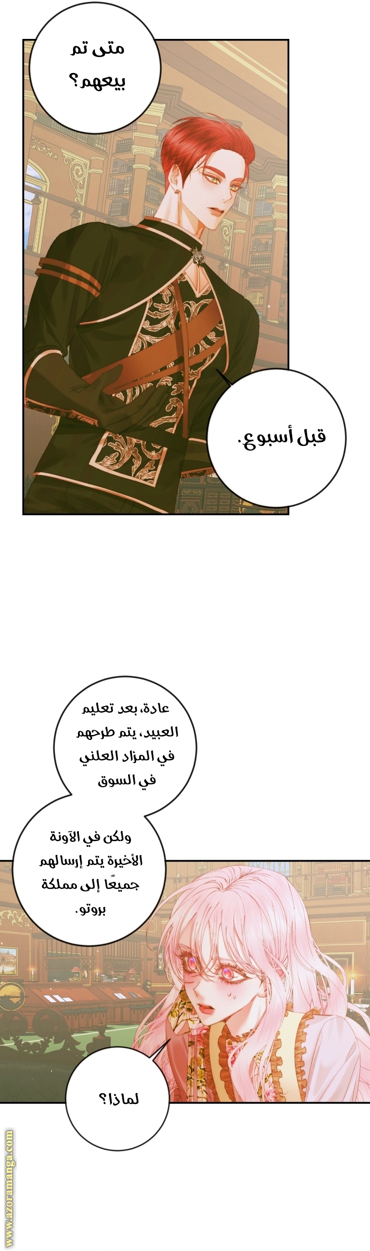 الصفحة 11